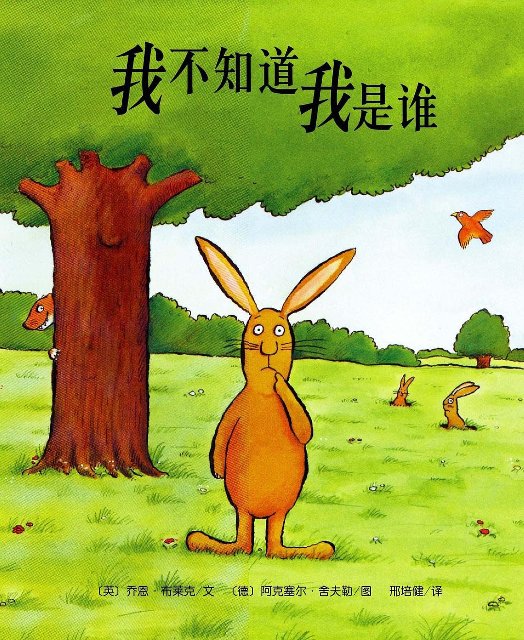 我不知道我是谁